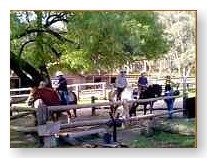 Blue_mountains_horse_riding