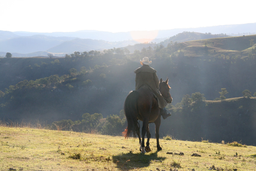 Blue_mountains_horse_riding