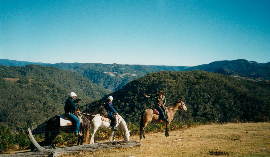 Blue_mountains_horse_riding