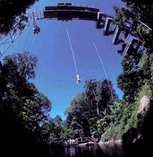 bungy.jump