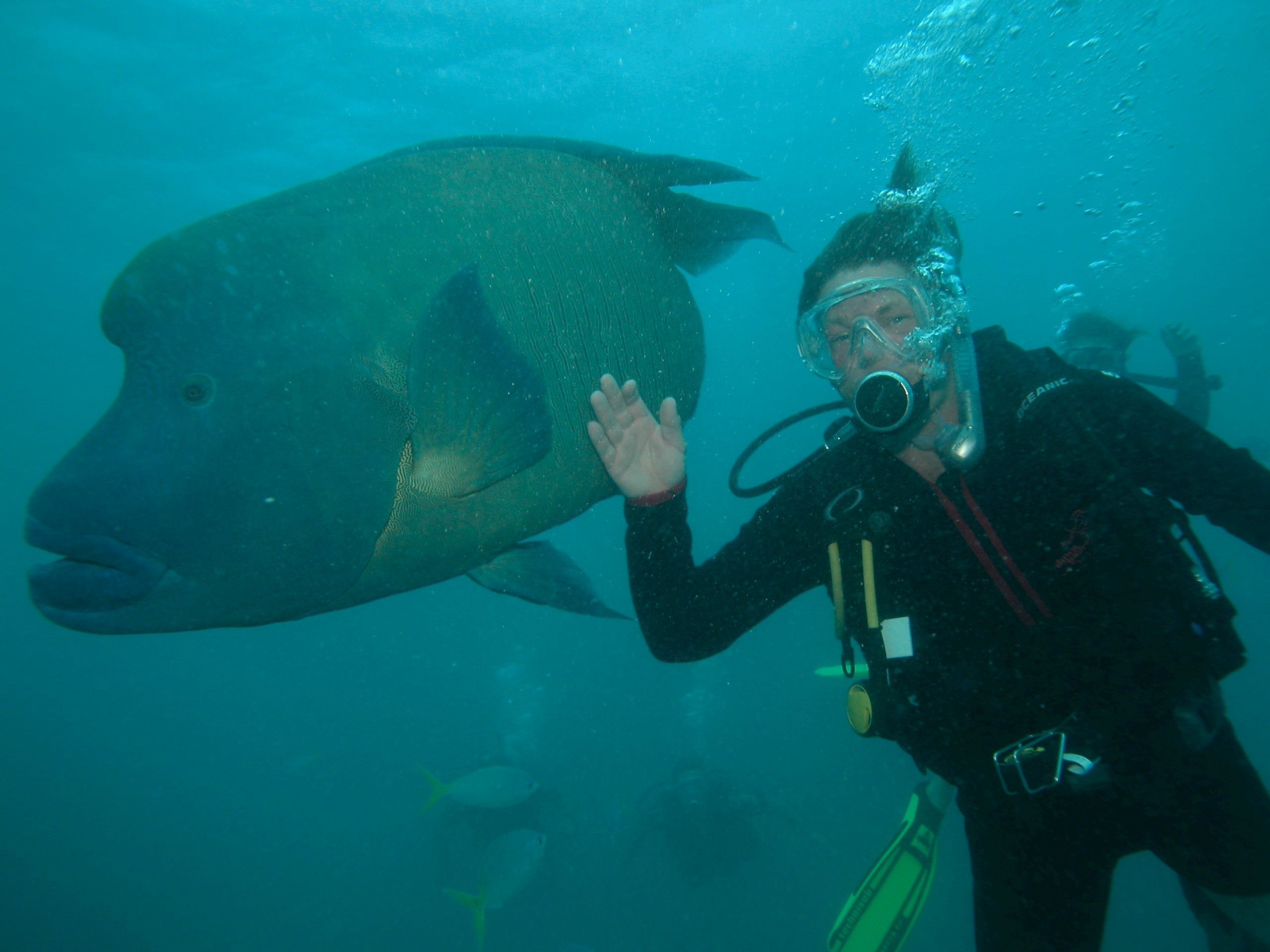 great_barrier_reef_swedish_diver